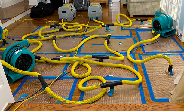 Professional Flood Damage Restoration technician working in Boulevard, CA